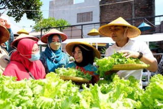 Pemkot Surabaya Jaga Ketahanan Pengan dan Gerakan Ekonomi Warga Sekitar Lewat Kampung Sayur