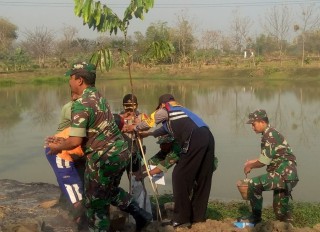 Penanaman Bibit Pohon, Mencegah Terjadinya Banjir