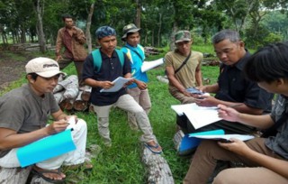 Pentingnya Pohon Sengon, Dosen IPB Bagikan Ilmu Mengelola Sengon Bersama Masyarakat Lebak Banten