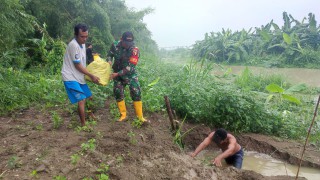 Gotongroyong, Babinsa Benjeng Bersama Masyarakat Perbaiki Tanggul yang Rusak