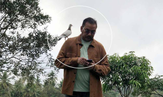 Denny dan Merpati