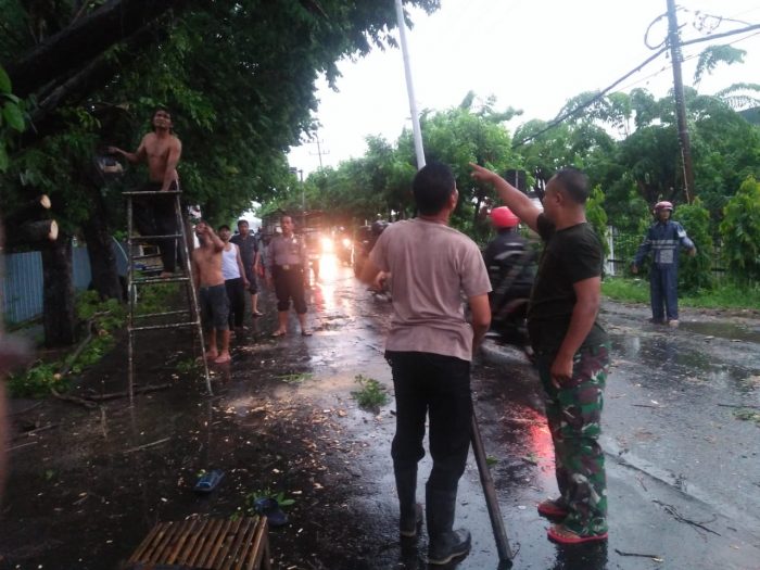 BABINSA KORAMIL 0817/01 DRIYOREJO EVAKUASI BENCANA PUTING BELIUNG