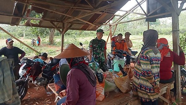Berikan Motivasi Kepada Petani Singkong Untuk Meningkatkan Perekonomian, Ini Yang Dilakukan Koptu Yoyok.