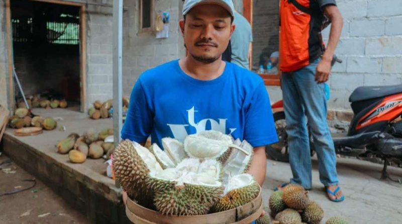 Nikmatnya Durian lokal Desa Suluk yang Jadi Idola