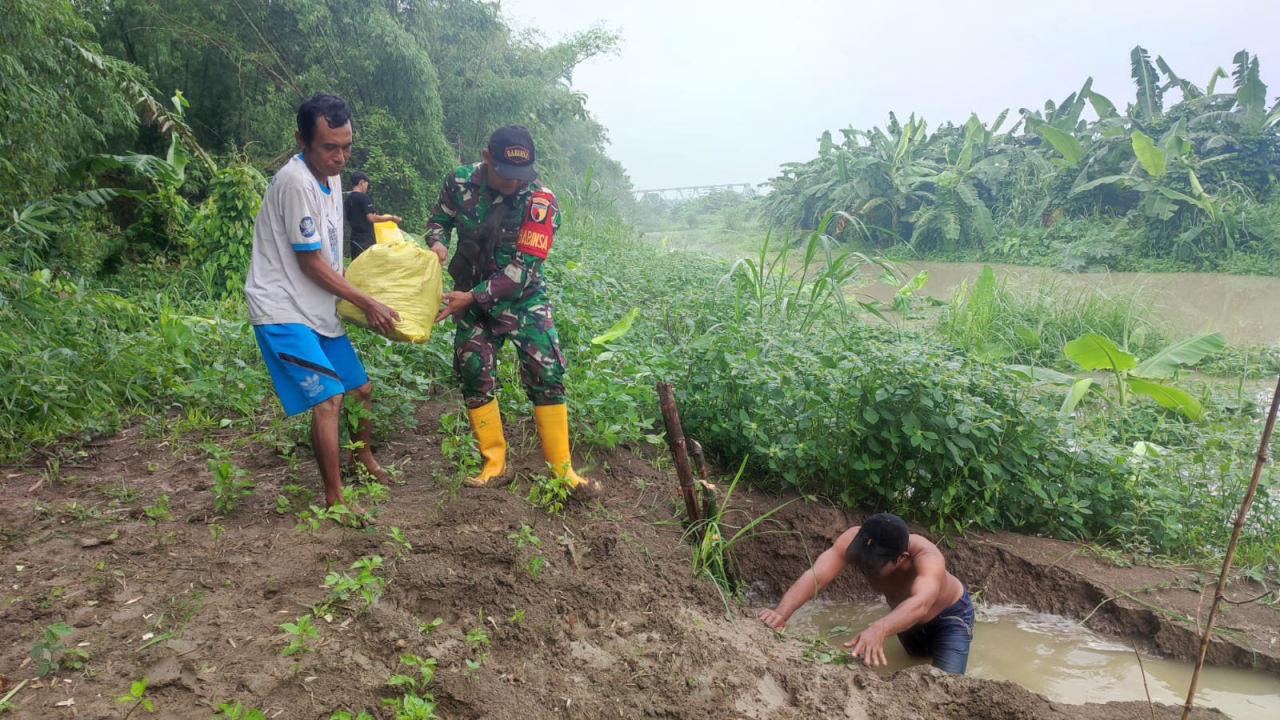 Gotongroyong, Babinsa Benjeng Bersama Masyarakat Perbaiki Tanggul yang Rusak