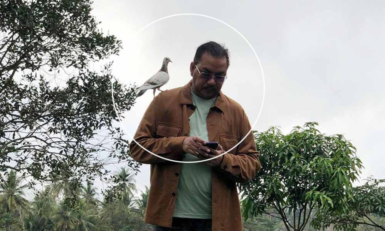Denny dan Merpati