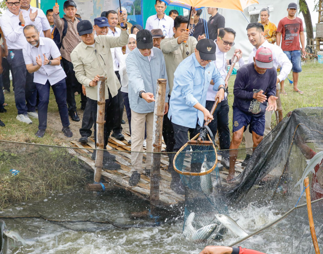 Sekdaprov Jatim Dampingi Menko Pangan Panen Bandeng di Gresik, Perkuat Ketahanan Pangan Pesisir